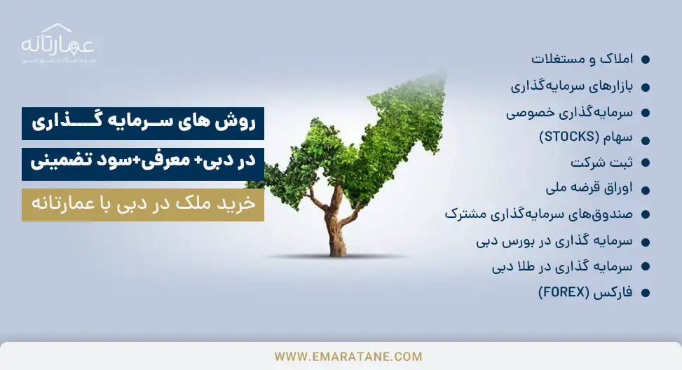 انواع روش های سرمایه گذاری در دبی برای کسب سود تضمینی به همراه راهنمایی و معرفی